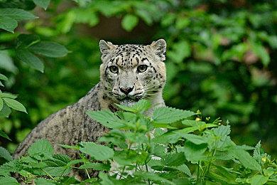 双摇杆动作塔防游戏《末日度假村》8月18日发行