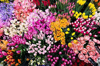 《流放之路2》直播活动透露大量细节 新预告公布